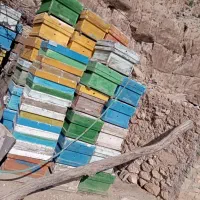 کندو خالی زنبور صندوق