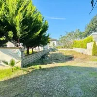 ملک پول نیاز فوری تا آخر هفته خریدار تماس بگیره