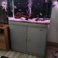 اکواریوم شیشه خم وارداتی sun sun