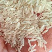 برنج هاشمی در جه یک گیلان|خوردنی و آشامیدنی|تبریز, |دیوار
