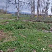 چندتا زمین با ۳ کنتور و... گوراب زرمیخ مبین بالو|فروش زمین و ملک کلنگی|گوراب زرمیخ, |دیوار