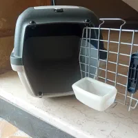 باکس پت|لوازم جانبی حیوانات|نوشهر, |دیوار