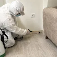 سم پاشی تخصصی ((با ضمانت ))
