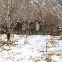 خانه باغ دهبکری،1150متر(سند تک برگ)|فروش خانه و ویلا|دهبکری, |دیوار