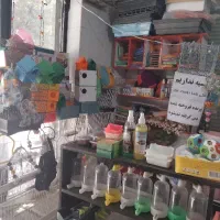 پرنده سرای پوریا/انواع پرنده ودان و دارو و قفس