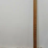 ستار، حیدری|سازهای سنتی|تهران, پامنار|دیوار