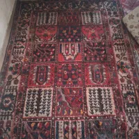 فرش|فرش|مشهد, طبرسی شمالی|دیوار