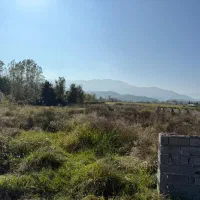 3هزار متری بهترین زمین برای باغ ویلا|فروش زمین و ملک کلنگی|لاهیجان, آهندان|دیوار