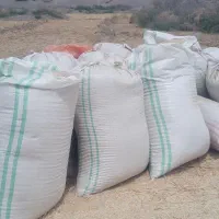 کاه کندم تازه