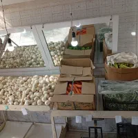 بساط میوه فروشی|عمدهفروشی|نیریز, |دیوار