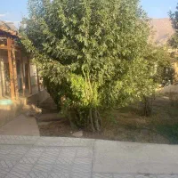 فروش ملک کلنگی در فولاد محله|فروش خانه و ویلا|شهمیرزاد, |دیوار