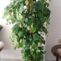 درختچه مصنوعی انگور|گل مصنوعی|کرج, عظیمیه|دیوار