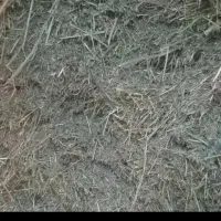 یونجه|عمده‌فروشی|سنقر, |دیوار