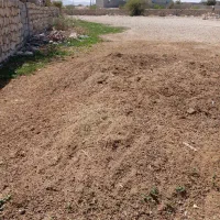 کود حیوانی بز ومیش ب فروش میرسد