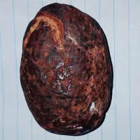 سنگ ،نشان،حاکمیت|کلکسیون اشیاء عتیقه|شاهیوند, |دیوار