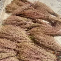 جارو محلی|لوازم نظافت|خرم‌آباد, |دیوار