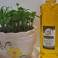 فروش ویژه محصولات ارگانیک(روغن و عسل) ارسال رایگان|خوردنی و آشامیدنی|مشهد, هفت تیر (آب و برق)|دیوار