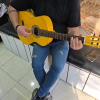 سازفلامینگو|گیتار، بیس، امپلیفایر|اصفهان, چرخاب|دیوار