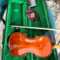 ویولون|ویولن|رفسنجان, |دیوار