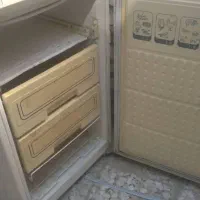 فروس بدنه یخچال فریزر کوچک برای تریلی|یخچال و فریزر|اصفهان, باغ فدک|دیوار