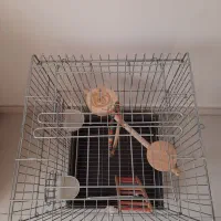یک عدد قفس بزرگ|لوازم جانبی حیوانات|تهران, تختی|دیوار