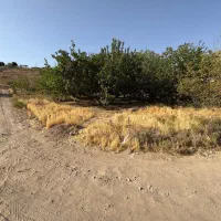 فروش باغچه داخل بافت ۲۵۰ متر سندادار|فروش زمین و ملک کلنگی|کرج, آتشگاه|دیوار