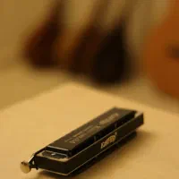 انواع سازدهنی (هارمونیکا) کروماتیک (سیدل و ایستاپ)|سازهای بادی|همدان, |دیوار