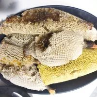 عسل وحشی کنار|خوردنی و آشامیدنی|اهواز, شهرک نفت|دیوار