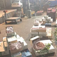 شراکت در میدان تربار|اجارهٔ مغازه و غرفه|تهران, میدان میوه و تره‌بار مرکزی|دیوار