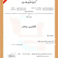 اولین عضو اتحادیه خمینی شهر قالیشویی سپاهان