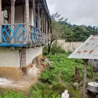 خانه سنتی تالار دار جنگلی ویو دار|فروش خانه و ویلا|احمدسرگوراب, |دیوار