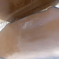 شیشه ناهار خوری هشت نفره|میز و صندلی غذاخوری|فردیس, داوری|دیوار