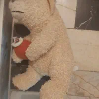 عروسک|اسباب‌بازی بچه|ساری, |دیوار