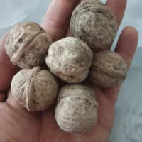 خریدار انواع گردو هستم