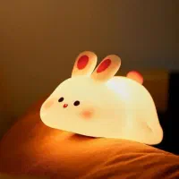 شب خواب سیلیکونی