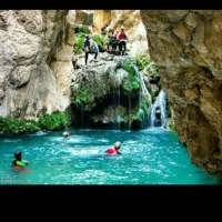 استخدام نیروی پارکینگ