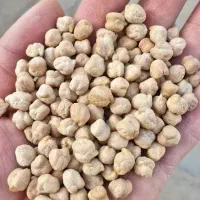 خوردنی واشامیدنی