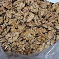 مغز گردو بوانات تازه شکن مناسب صبحانه سمنو و قنادی