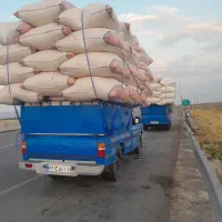 کاه گندم و سیلو|عمدهفروشی|رامسر, |دیوار