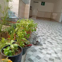 سوییت در بندر سیراف|اجارهٔ کوتاهمدت آپارتمان و سوئیت|سیراف, |دیوار