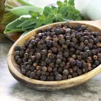 ادویه تولید روز|خوردنی و آشامیدنی|مشهد, بهاران|دیوار