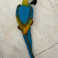 دیوارکوب طوطی