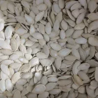 کدوگوشتی|خوردنی و آشامیدنی|باوله, |دیوار