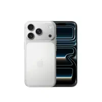 17 pro max