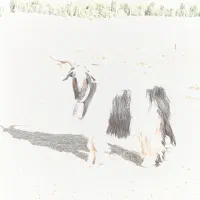 دوبر بختیاری دو ران