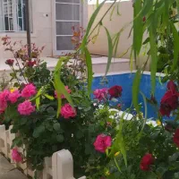 اجاره سالانه ماهانه شبانه کلاردشت|اجارهٔ کوتاه‌مدت ویلا و باغ|مرزن‌آباد, |دیوار