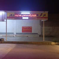 نیازمند نیروی کار با دستگاه تیکه کن مرغ