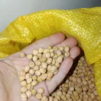 نخد اعلا|خوردنی و آشامیدنی|رباط‌کریم, الارد|دیوار