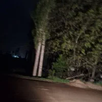 خانه-باغ