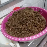 حراج|حراج|زابل, |دیوار